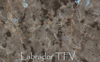 LABRADOR TFV  GRANITE