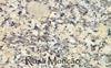ROSA MONO GRANITE
