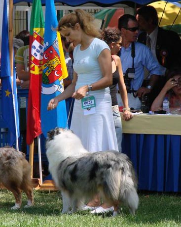 KillochanCastle Crystal Moon - Luna